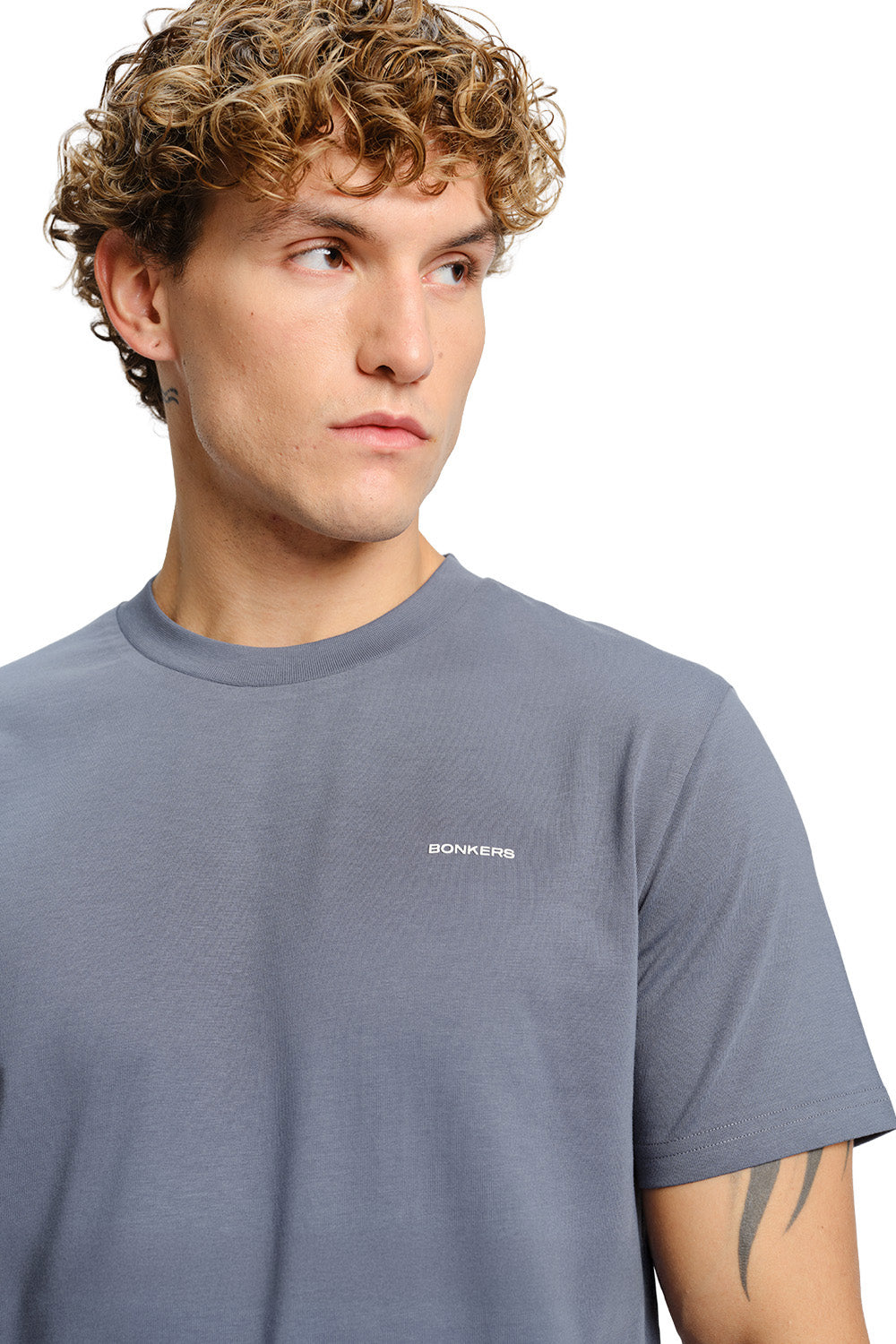 Glacier Grey Supima Regular Fit T-shirt  - BonkersCorner