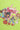 Bratz Color Pop Raglan Top - BonkersCorner