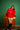 Woof You A Merry Xmas Hoodie - BonkersCorner