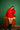 Woof You A Merry Xmas Hoodie - BonkersCorner