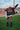 Motion Frequency Jacket - BonkersCorner