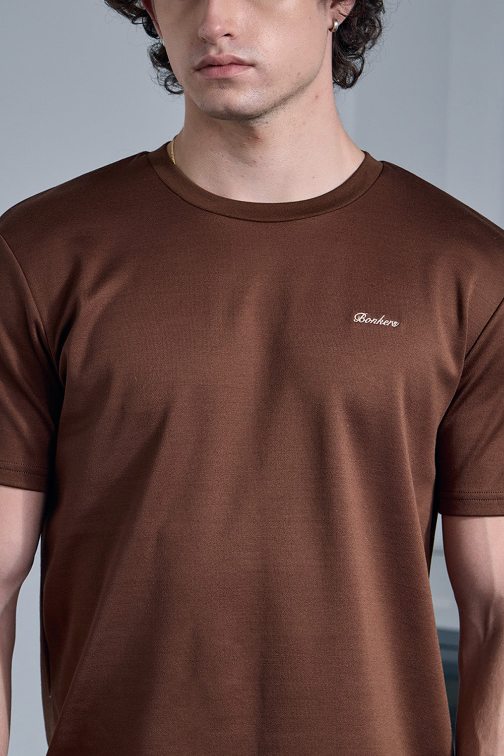Brown Regular Fit T-Shirt