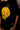 Tweety Oversized T-shirt - BonkersCorner