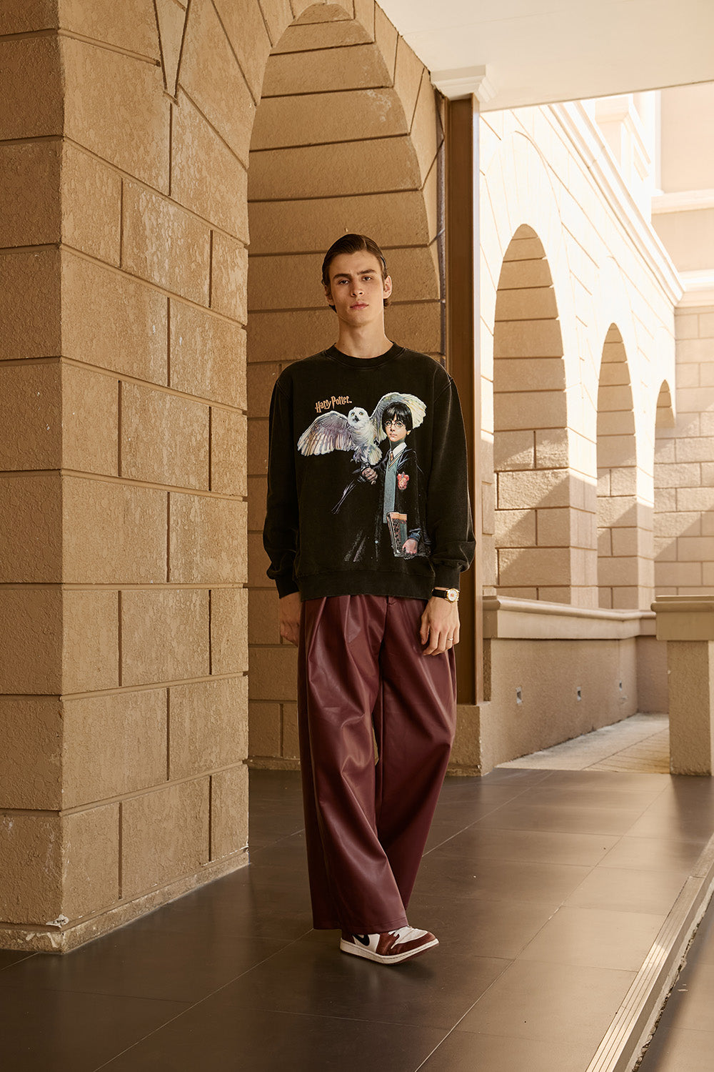 Harry Potter & Hedwig Sweatshirt