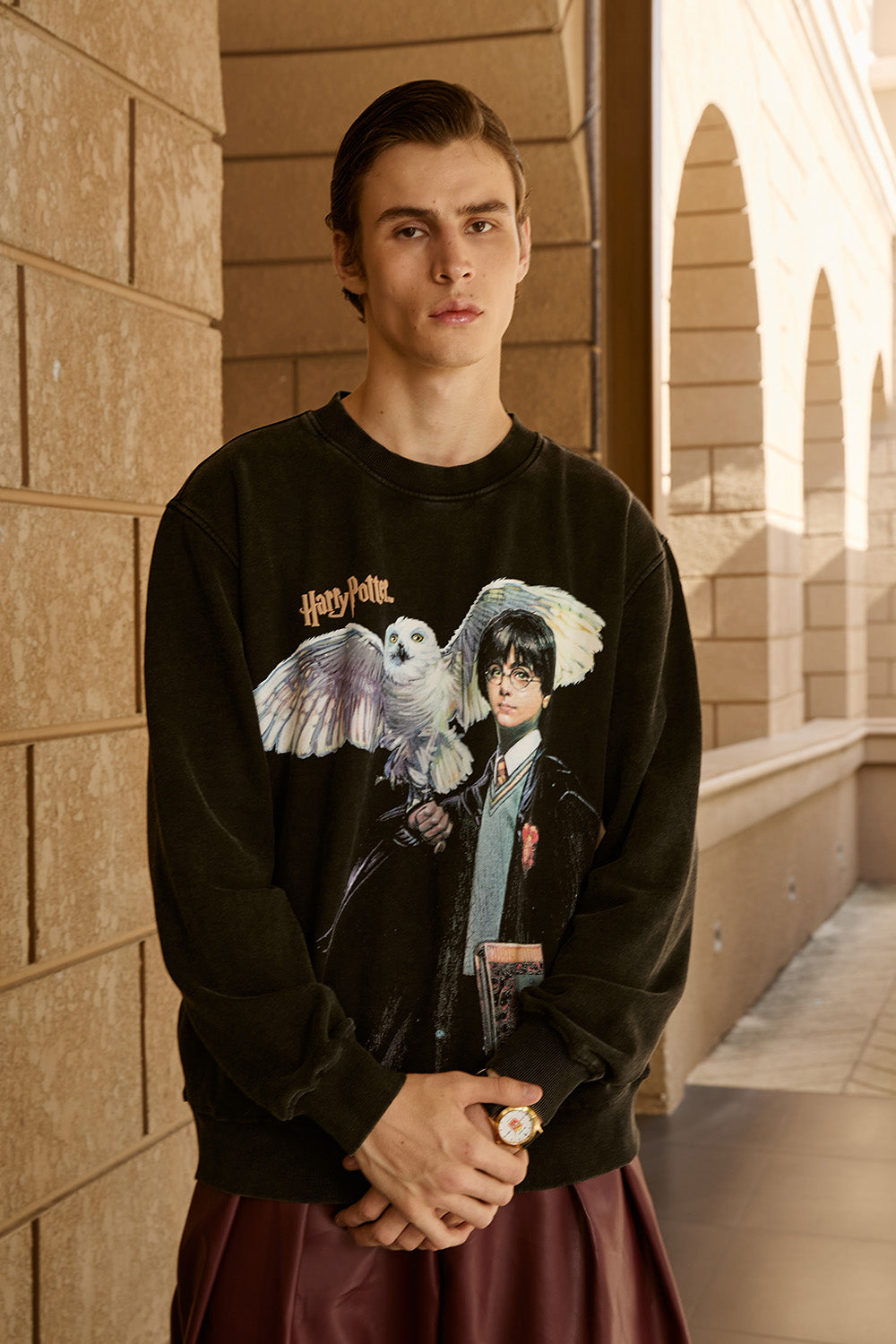 Harry Potter & Hedwig Sweatshirt