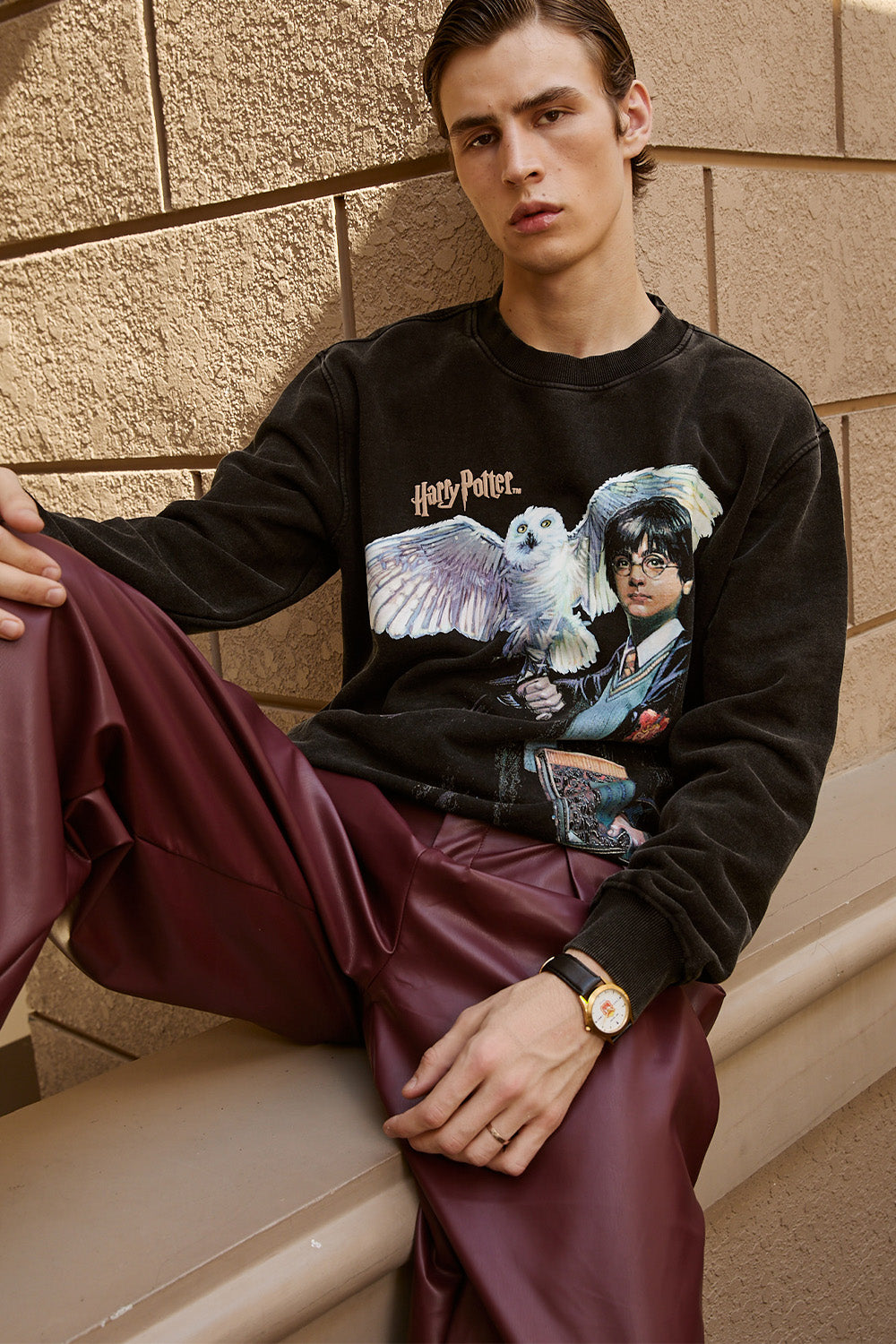 Harry Potter & Hedwig Sweatshirt