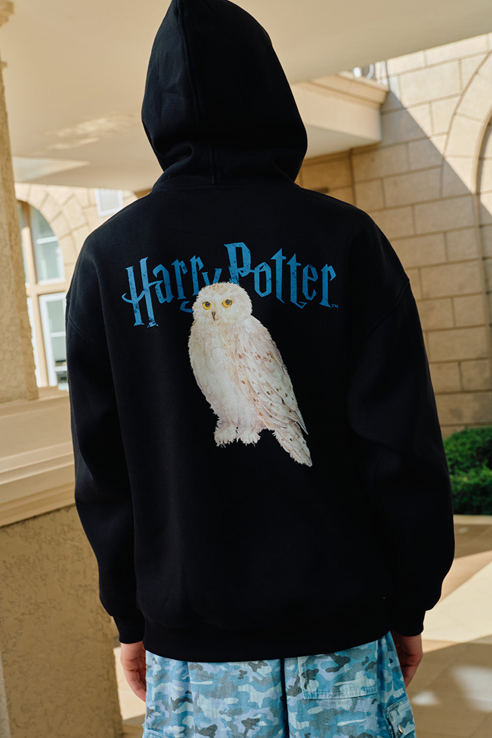 Hedwig Guardian Hoodie