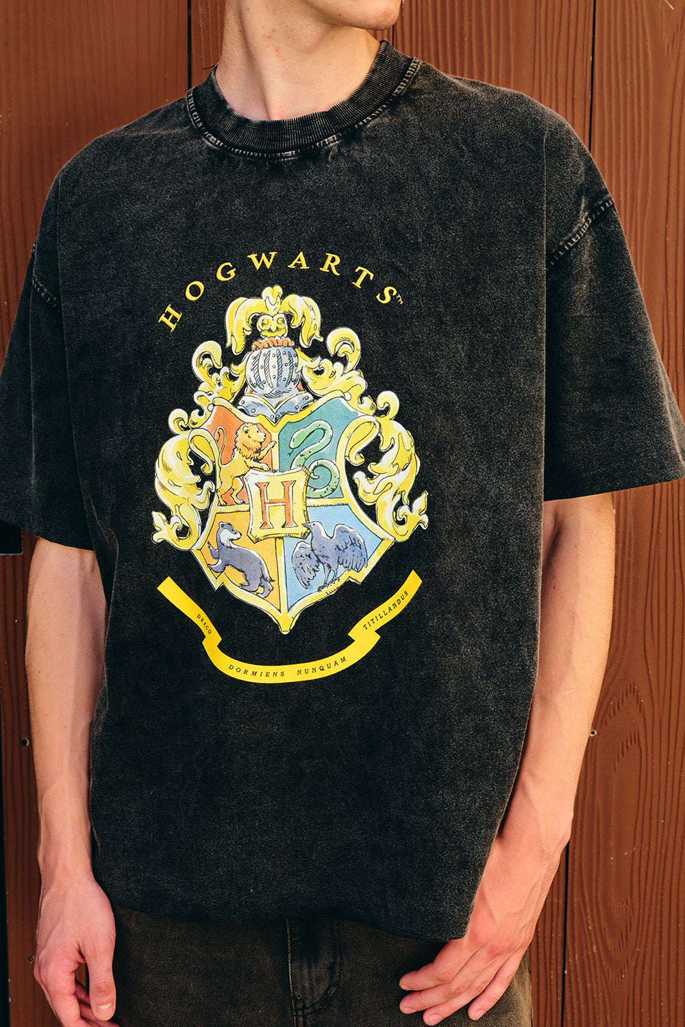 Hogwarts Heritage Faded Oversized T-shirt