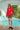 Mr.Krabs Hoodie - BonkersCorner