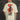Samurai Oversized T-shirt - BonkersCorner